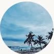 Palm trees at Malpe Beach